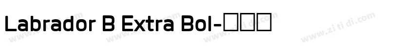 Labrador B Extra Bol字体转换